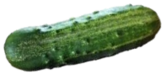 garden/Cucumber (Spacemaster 80).png{thumbnail.png}